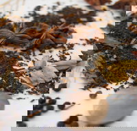 Red Hot Chilli Pepper Spice Blending Class - Accommodation Guide