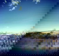 Scenic Rim Ultra - Accommodation Guide