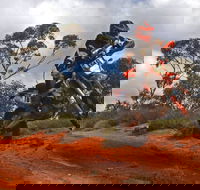 Sunraysia Safari Rally - Accommodation Guide