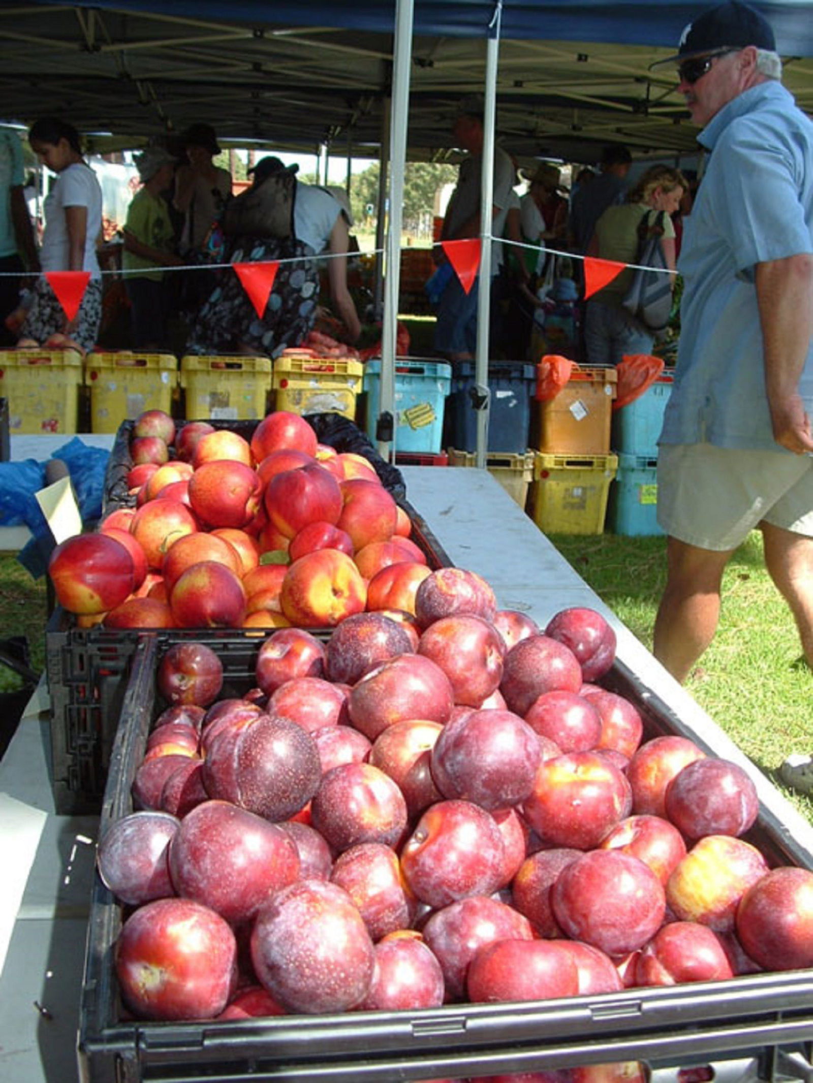 Karawara WA Accommodation Guide