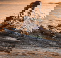 The Bay Games - Jervis Bay - Accommodation Guide