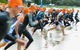 Triathlon NSW Sprint Series Kurnell (January) - thumb 0