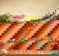 Tumbarumba Spring Flower Festival - Accommodation Guide