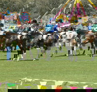 Wangaratta Show - Accommodation Asia