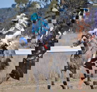 Wean Picnic Races - Accommodation Guide