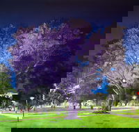 Adelaide Parklands Art Prize  Finalists Exhibition  Sale 2020 - Accommodation Asia