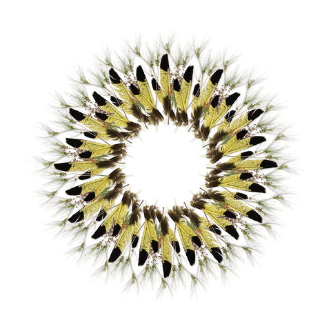 Adelaide Parklands Art Prize  Finalists Exhibition & Sale 2020 - Accommodation Guide 1