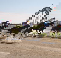 Bedourie Races and Rodeo - Accommodation Guide