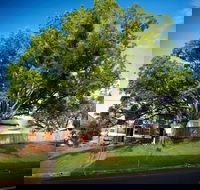 Big Bat Wildlife and Eco Festival - Accommodation Guide