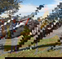 Birbbaree Show - Accommodation Guide