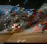 Black Opal Bull and Bronc Ride - Accommodation Guide