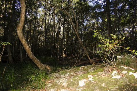 Bottlebutt Bash Trail Run - Accommodation Asia 1