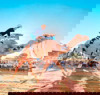 Boulia Camel Races - Accommodation Guide