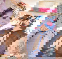 Cairns Amateurs - Accommodation Guide