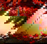 Carols by Candlelight Boorowa - Accommodation Guide