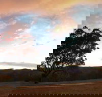 Christmas in July Jumpers and Jazz - Accommodation Guide