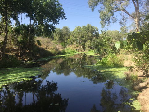 Conservation Volunteers Australia Townsville - Creekwatch - Accommodation Asia 0