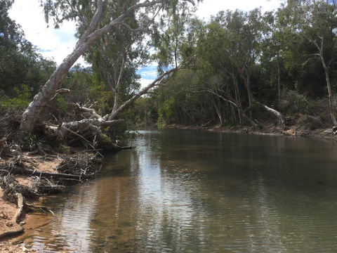 Conservation Volunteers Australia Townsville - Creekwatch - Accommodation Asia 2