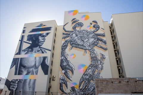 Darwin Street Art Festival - Accommodation Guide 2