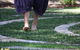 Ekam Yoga Festival Port Macquarie - thumb 2