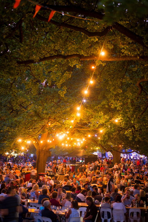 Festivale - Accommodation Asia 0