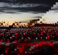 Field of Light Uluru - Accommodation Guide