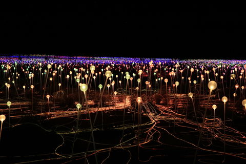 Field Of Light Uluru - Accommodation Guide 1