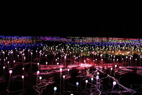 Field Of Light Uluru - Accommodation Guide 2