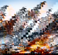 Fires in the Sky at Dindima - Accommodation Guide