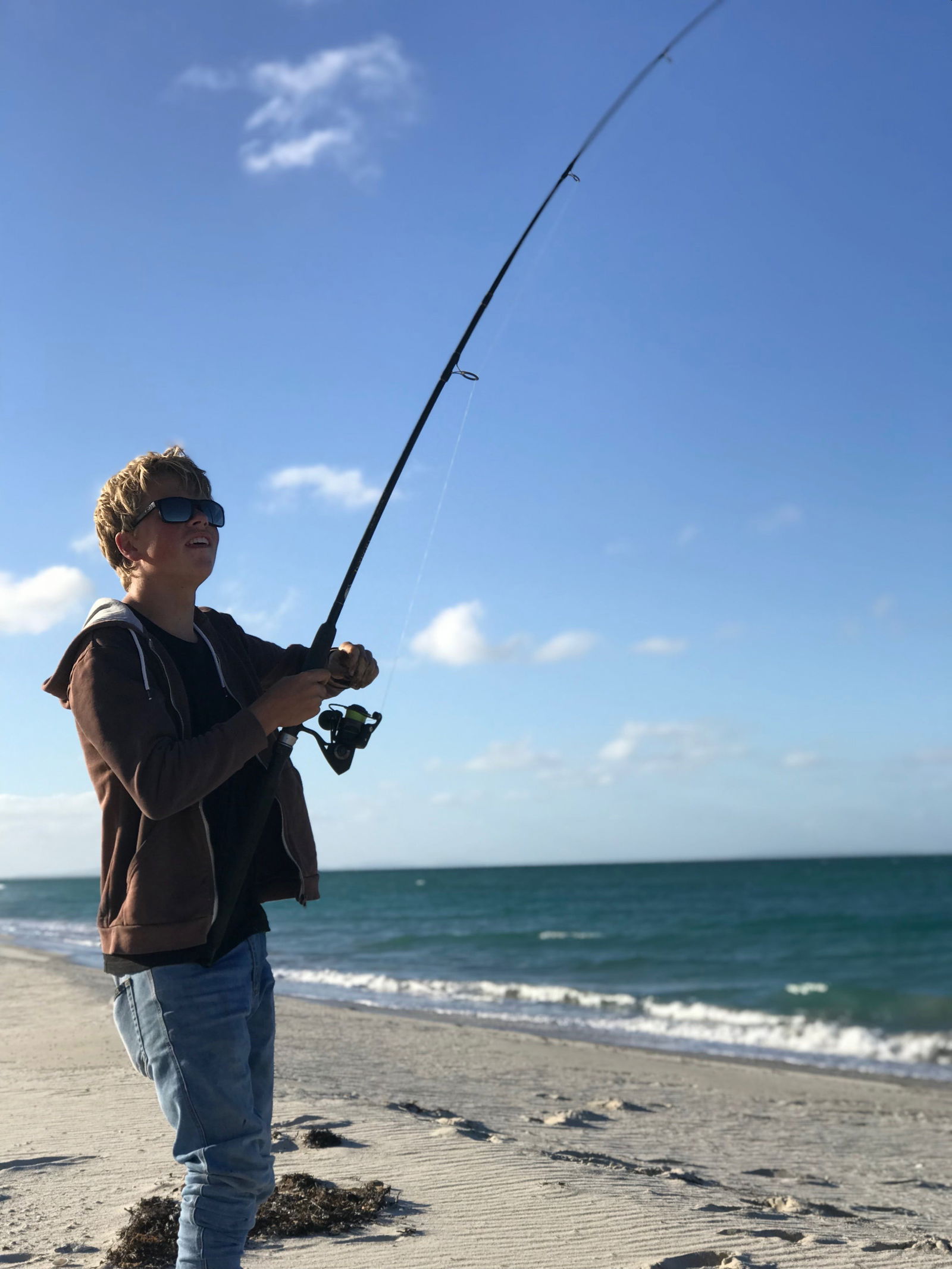 Wingaroo TAS Accommodation Guide