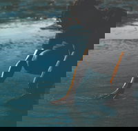 Flow - Accommodation Guide