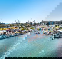 Fred Williams Aquatic Festival - Accommodation Asia