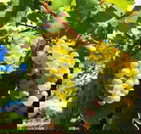 GetawaysSA Bringing Barossa To Your Door - Accommodation China