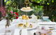 High Tea At Melbourne Zoo - thumb 0