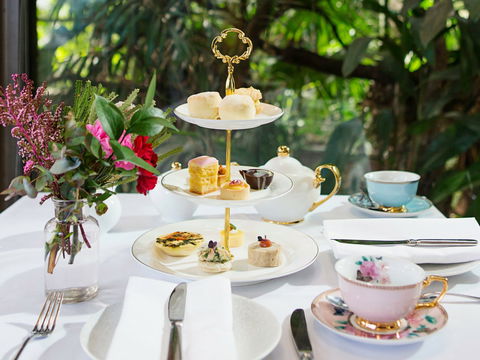 High Tea At Melbourne Zoo - Accommodation Asia 0