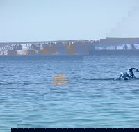 Jervis Bay's Sydney to Hobart Experience - Accommodation Guide