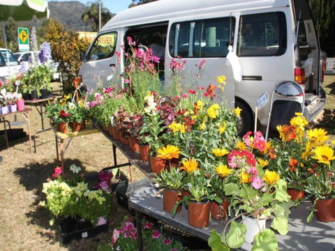 Johns River Country Markets - Accommodation Asia 0