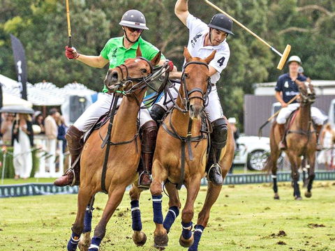 Land Rover Polo In The City - Accommodation Guide 0