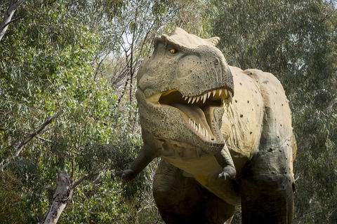 Lost Sanctuary At Healesville Sanctuary - Accommodation Guide 2