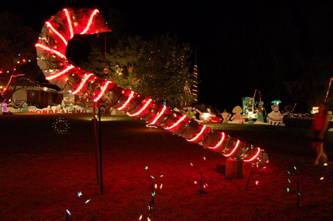 Loxton Christmas Lights Festival - Accommodation Guide 2