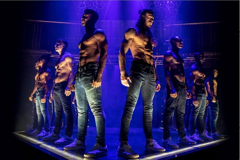 MAGIC MIKE LIVE - Accommodation Guide 0
