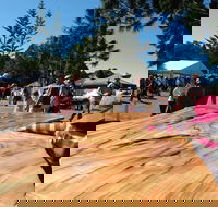 Maleny Wood Expo From Seed to Fine Furniture - Accommodation Guide