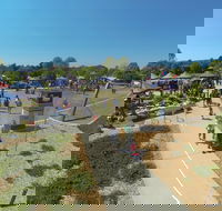 Moruya Country Market - Accommodation Asia