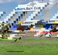 Moree Race Club TAB Race Day - Accommodation Guide