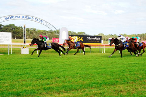 Moruya Cup - Accommodation Asia 2