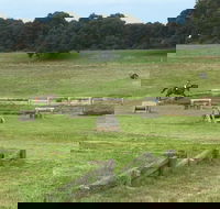 Mount Gambier and District Pony Club Horse Trials 2020 - Accommodation Guide