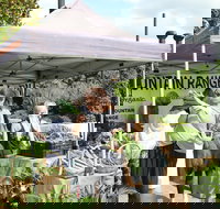 Nan Tien Health and Wellbeing Market - Accommodation China