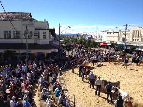 NCMC Casino Beef Week - Accommodation Guide 0