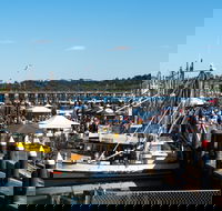 Ocean Harvest Festival - Accommodation Guide