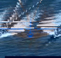 Rathmines Catalina Festival - Accommodation China